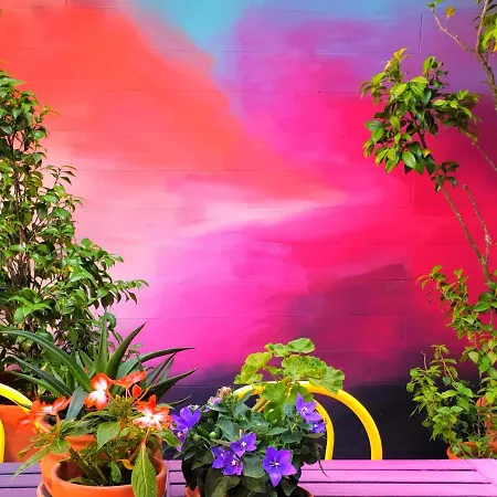Supernova Hostel