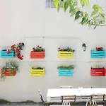 Supernova Hostel *
