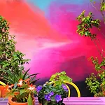 Supernova Hostel